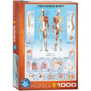 The Human Body Pussel 1000 bitar